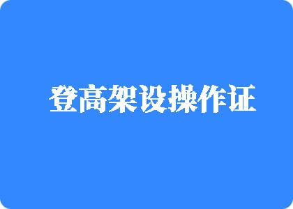 黄色日逼视频网站日逼登高架设操作证